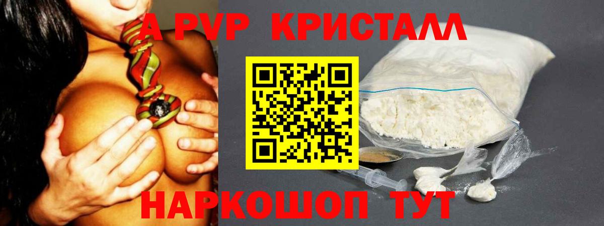 Альфа ПВП СК Губкинский