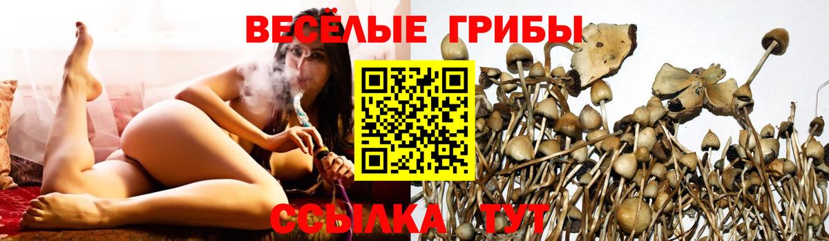 Галлюциногенные грибы GOLDEN TEACHER Губкинский